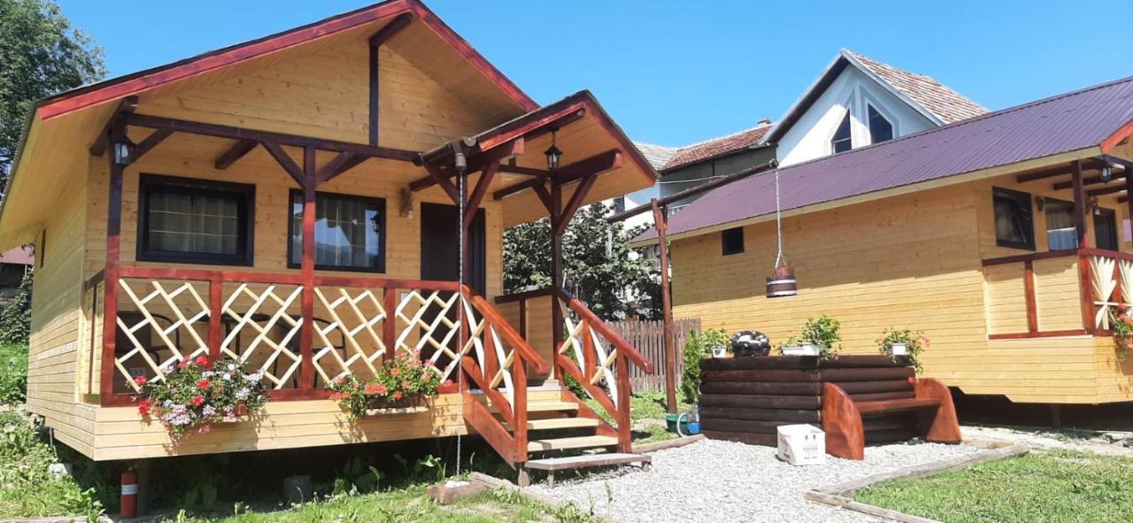 Baltina Parc Transfagarasan Villa Curtea De Arges Exterior photo