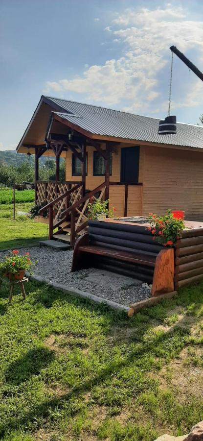 Baltina Parc Transfagarasan Villa Curtea De Arges Exterior photo