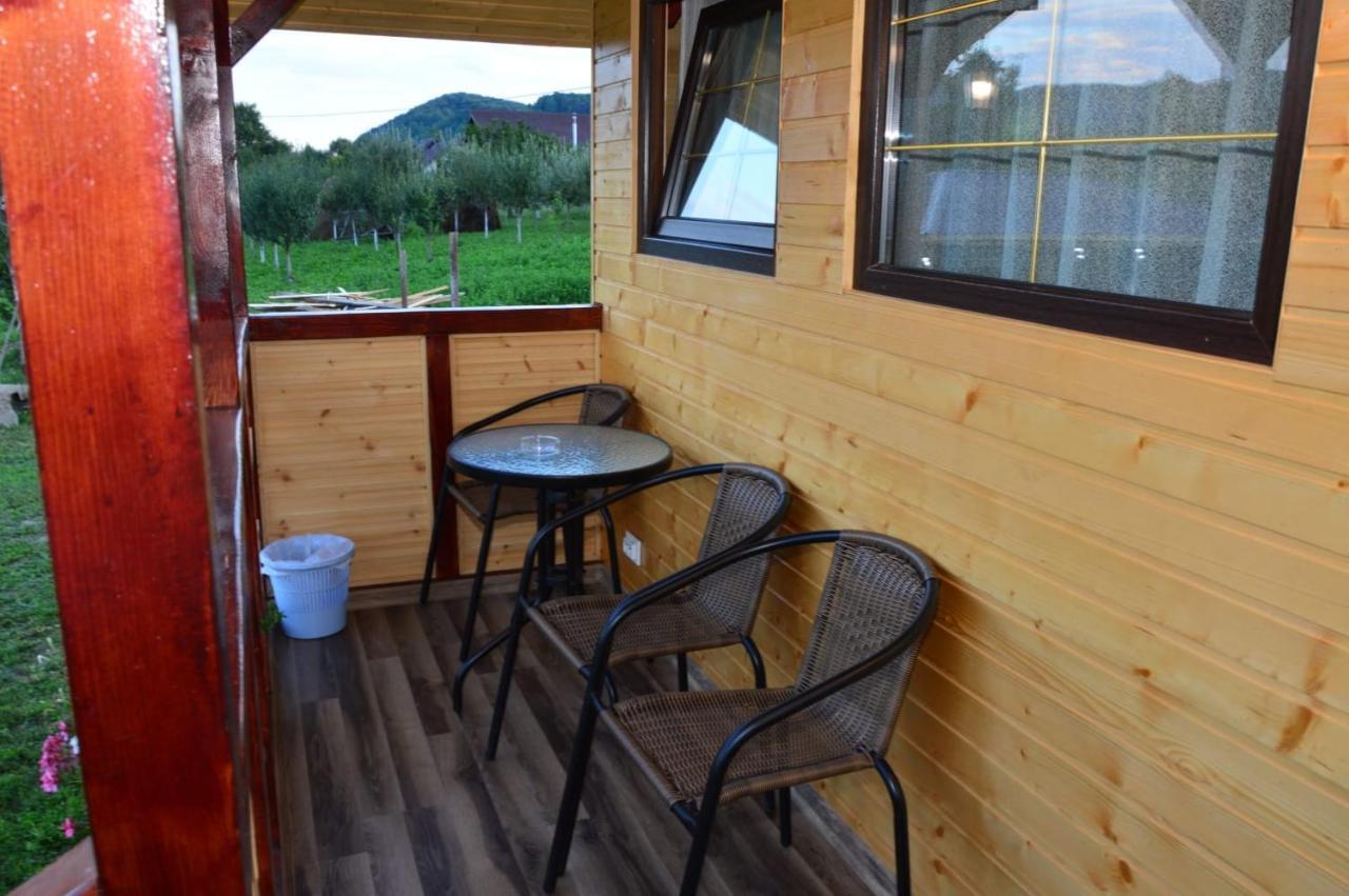 Baltina Parc Transfagarasan Villa Curtea De Arges Exterior photo