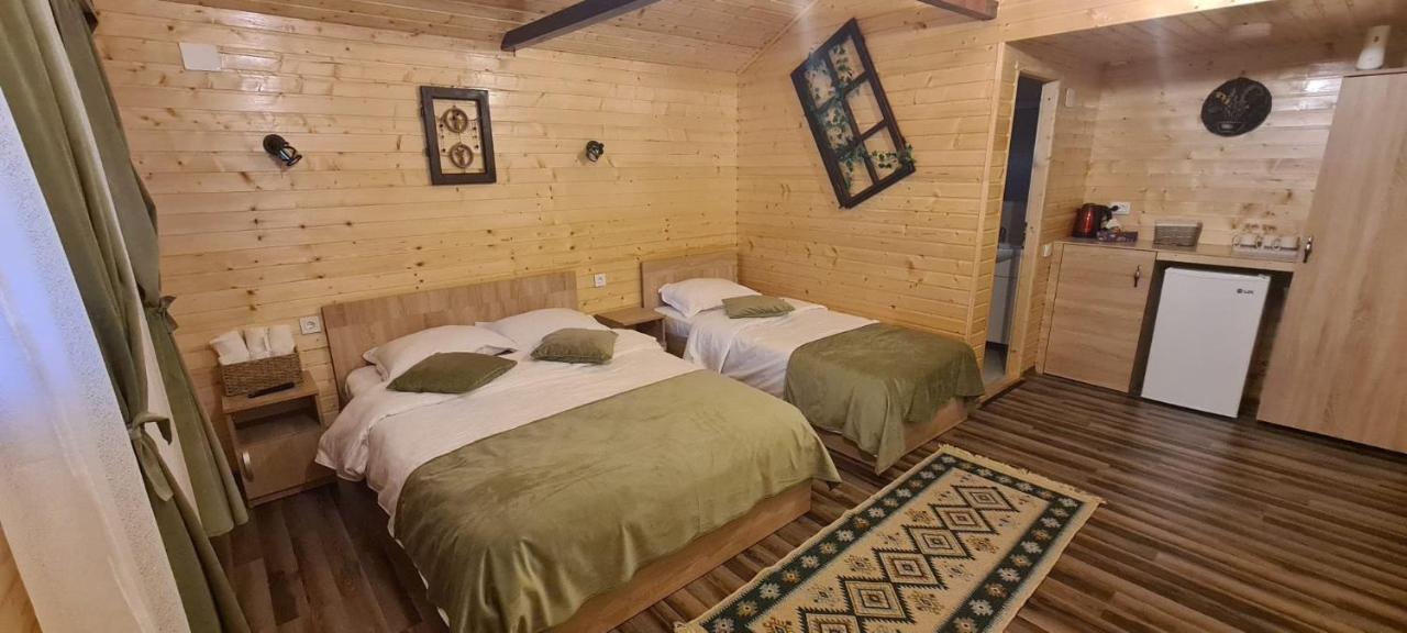 Baltina Parc Transfagarasan Villa Curtea De Arges Exterior photo