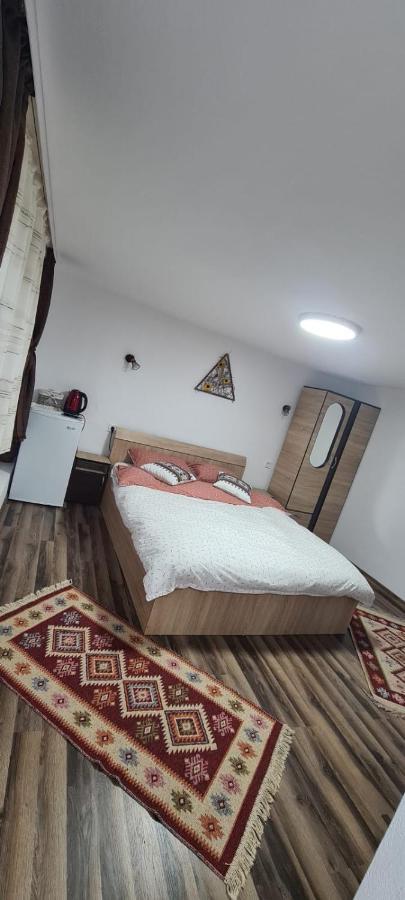 Baltina Parc Transfagarasan Villa Curtea De Arges Exterior photo