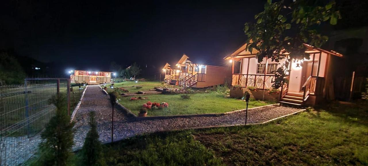 Baltina Parc Transfagarasan Villa Curtea De Arges Exterior photo