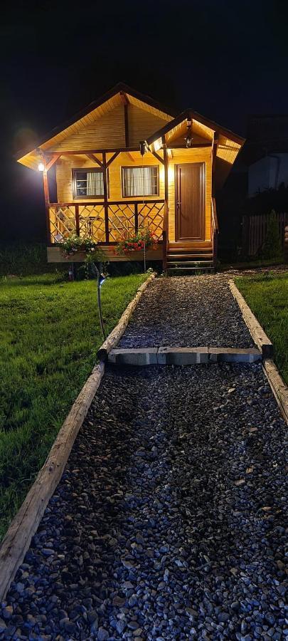 Baltina Parc Transfagarasan Villa Curtea De Arges Exterior photo