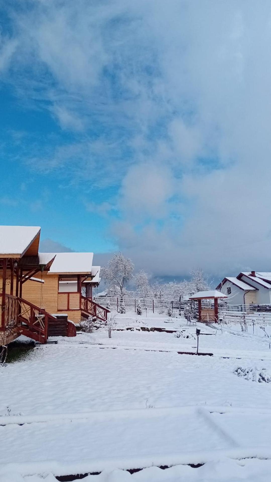 Baltina Parc Transfagarasan Villa Curtea De Arges Exterior photo
