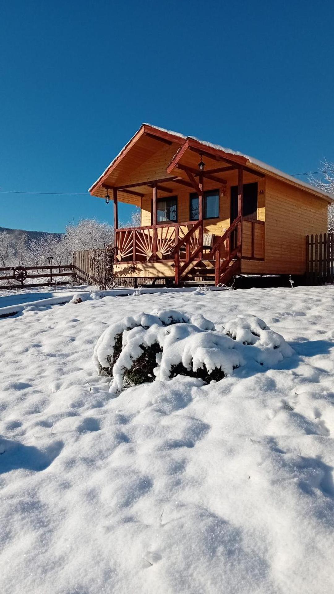 Baltina Parc Transfagarasan Villa Curtea De Arges Exterior photo
