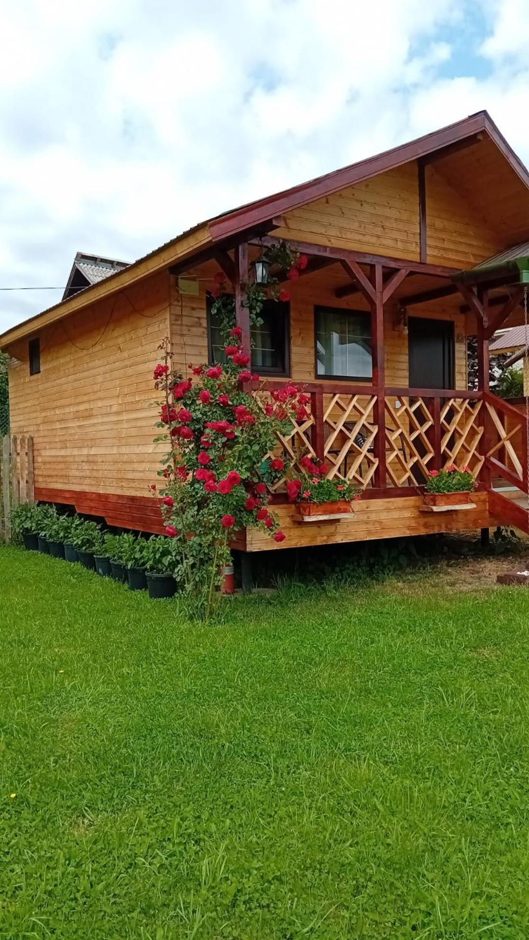 Baltina Parc Transfagarasan Villa Curtea De Arges Exterior photo