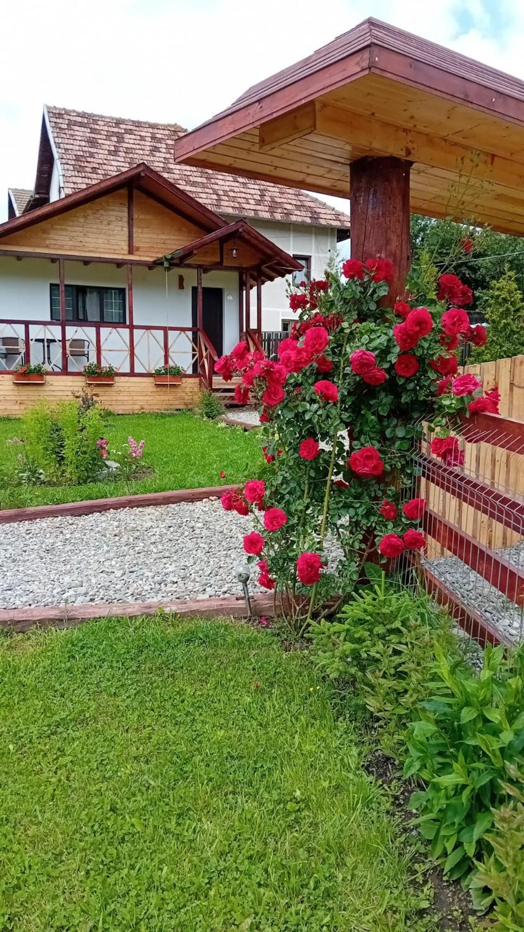 Baltina Parc Transfagarasan Villa Curtea De Arges Exterior photo