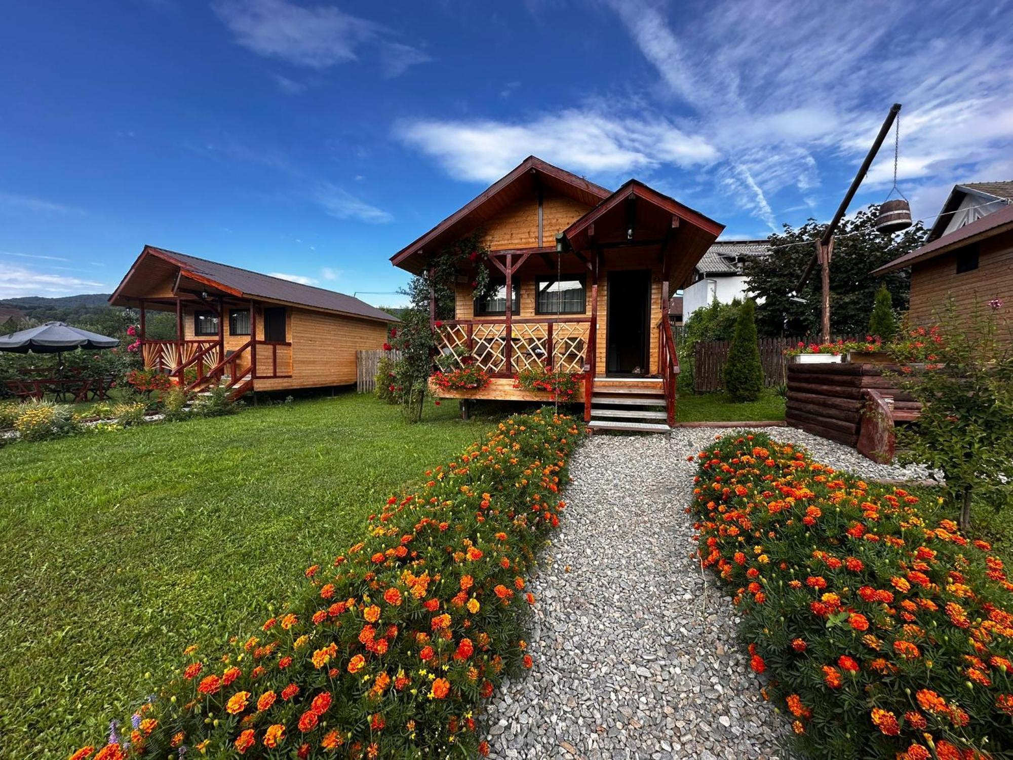 Baltina Parc Transfagarasan Villa Curtea De Arges Exterior photo