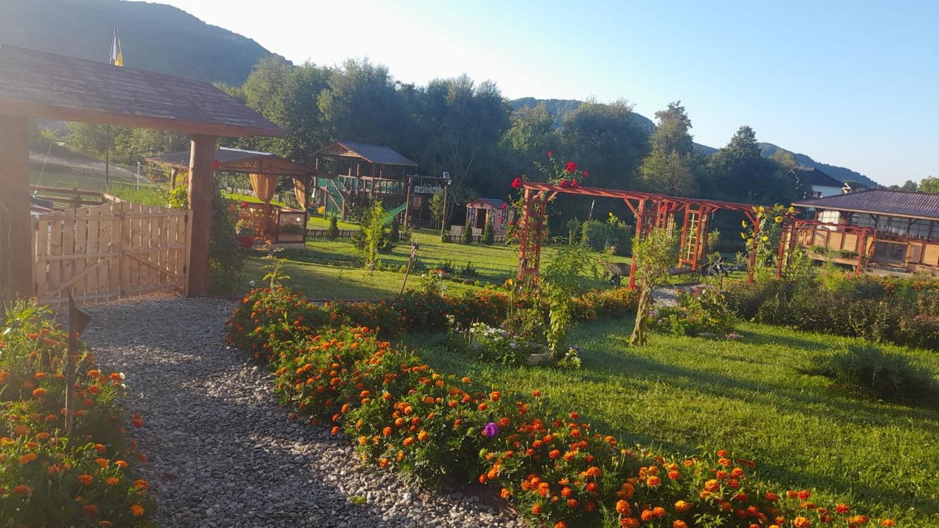 Baltina Parc Transfagarasan Villa Curtea De Arges Exterior photo